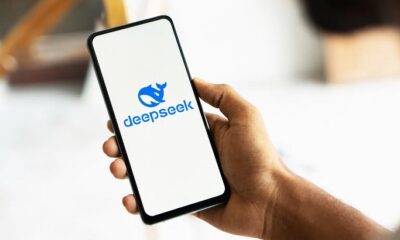 DeepSeek